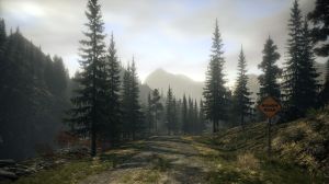 Remedy Entertainment Alan Wake - Collector's Edition PC, wersja cyfrowa 7