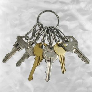 Breloczek Nite Ize KeyRing+ 6 x micro karabińczyk ze stali nierdzewnej (KRGS-11-R3) 3