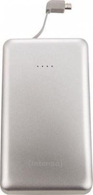 Powerbank Intenso Slim iDual S10000 10000 mAh Srebrny  (7332531) 2
