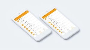 Piri Bramka (HSGW17001) 8