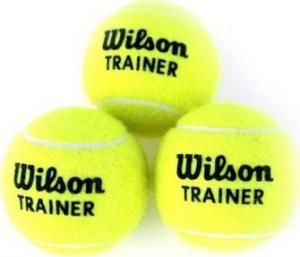 Wilson Piłka tenisowa Wilson Trainerball T1311B żółty - T1311B 1