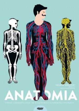 Anatomia. Obraz ludzkiego ciała na wyjątkowych ażurowych rycinach - Druvert Helene 1