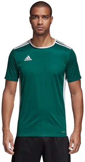 Adidas Koszulka piłkarska Entrada 18 JSY zielona r. L (CD8358) 1