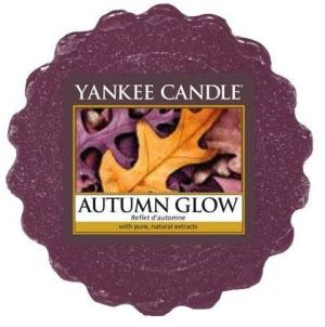 Yankee Candle Wax wosk Autumn Glow 22g 1