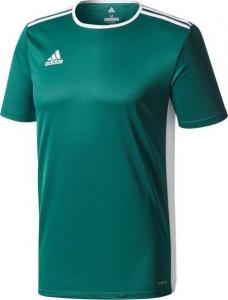 Adidas Koszulka męska Entrada 18 JSY zielona r. XL (CD8358) 1