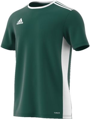 Adidas Koszulka juniorska Entrada 18 JSY zielona r. 128 cm (CD8358) 1