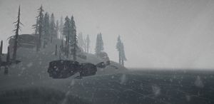The Long Dark PC, wersja cyfrowa 3