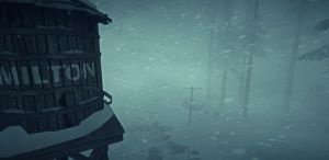 The Long Dark PC, wersja cyfrowa 4