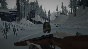 The Long Dark PC, wersja cyfrowa 6