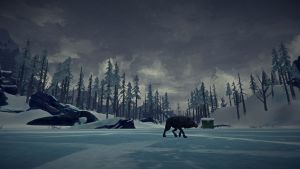 The Long Dark PC, wersja cyfrowa 8