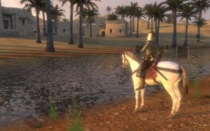 Mount & Blade: Warband PC, wersja cyfrowa 6
