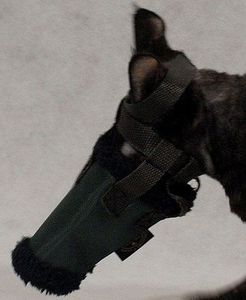 Grande Finale Grande Finale Kaganiec dla kota r. 1 3