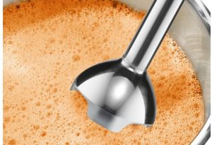 Blender Bosch MSM24500 6