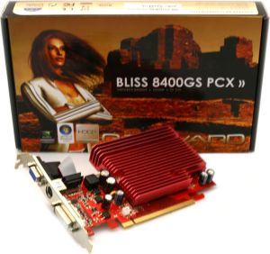 Karta graficzna Gainward GeForce 8400 GS 256MB BP8400GS256TVDVIPassive 2