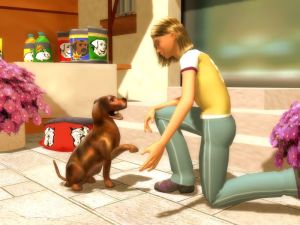 Szkółka dla zwierząt PC 2