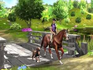 Szkółka dla zwierząt PC 3