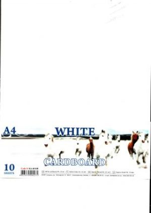 Fresh Karton biały A4 1