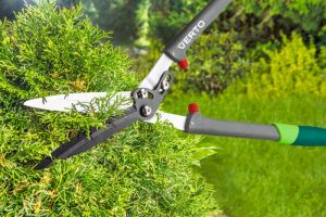 Verto Nożyce do żywopłotu uchwyt z włókna szklanego 2