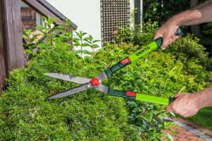 Verto Nożyce do żywopłotu faliste teleskopowe 670-880mm ostrze 200mm (15G312) 2