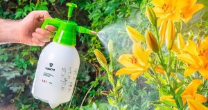 Verto Opryskiwacz ciśnieniowy 1,5L (15G502) 7