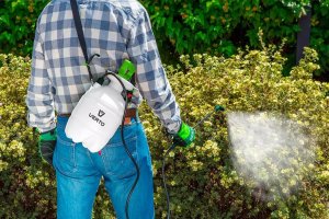 Verto Opryskiwacz ciśnieniowy 3L (15G504) 6