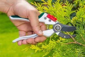 Sekator Verto 15G207 kowadełkowy 2