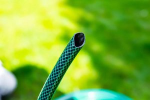 Verto Wąż ogrodowy 30m 3/4" ECONOMIC (15G804) 5