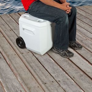 Lodówka turystyczna Coleman 50QT Wheeled Marine 47 l 6