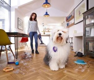 Odkurzacz pionowy Black&Decker Pet Range SVJ520BFSP-QW 10