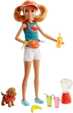 Lalka Barbie Mattel Barbie Siostra Stacie + szczeniak (271107) 1