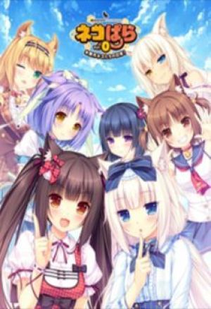 NEKOPARA Vol. 0 PC, wersja cyfrowa 1