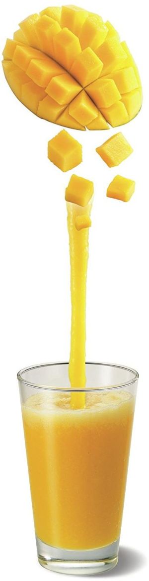 Blender kielichowy Moulinex LM310E 8