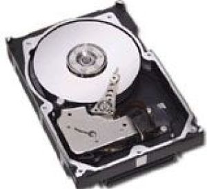 Dysk serwerowy Seagate ST3300656SS 1