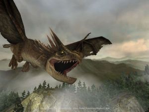 Harry Potter i Czara Ognia Platinum 7