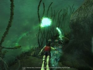 Harry Potter i Czara Ognia Platinum 8