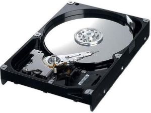 Dysk Samsung 3.5"  (HE103UJ) 1