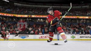 NHL 09 PC 6