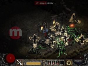 Platynowa kolekcja: Diablo 2 PC 5