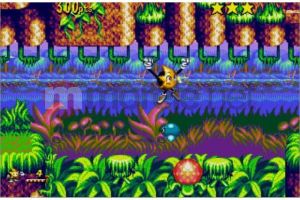 XK Sonic Mega Collection Plus PC 3