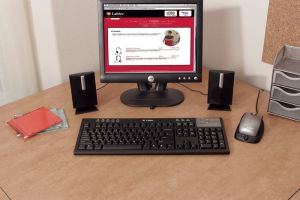 Głośniki komputerowe Logitech Labtec Pulse 285 5