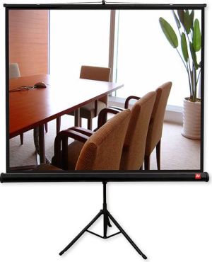 Ekran do projektora Avtek Tripod Standard 150 2