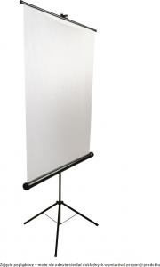 Ekran do projektora Avtek Tripod Standard 200 3