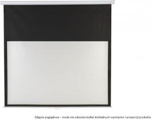 Ekran do projektora Avtek Video 175 5