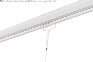 Ekran do projektora Avtek Wall Standard 175 4