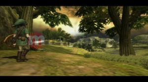 Legend of Zelda Twilight Princess Wii U 4