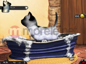 Kochane Zwierzaki - Kotki i Pieski PC 2