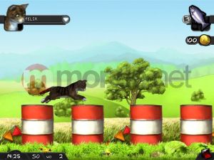 Kochane Zwierzaki - Kotki i Pieski PC 3