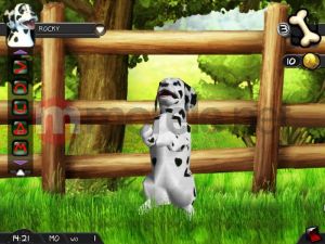 Kochane Zwierzaki - Kotki i Pieski PC 5