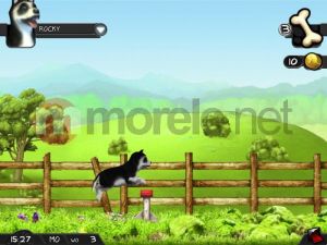 Kochane Zwierzaki - Kotki i Pieski PC 6