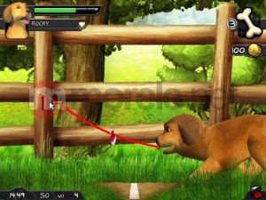 Kochane Zwierzaki - Kotki i Pieski PC 7